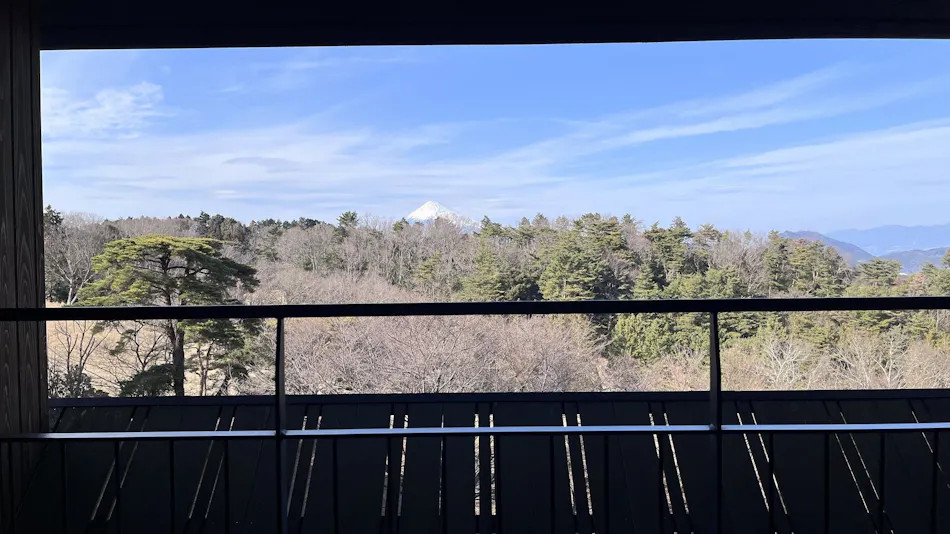 Hotel Laforet Shuzenji Sanshisuimei