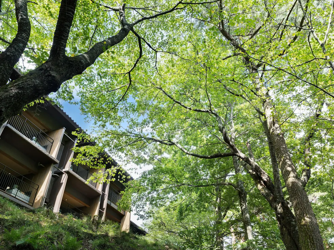 参号館 外観