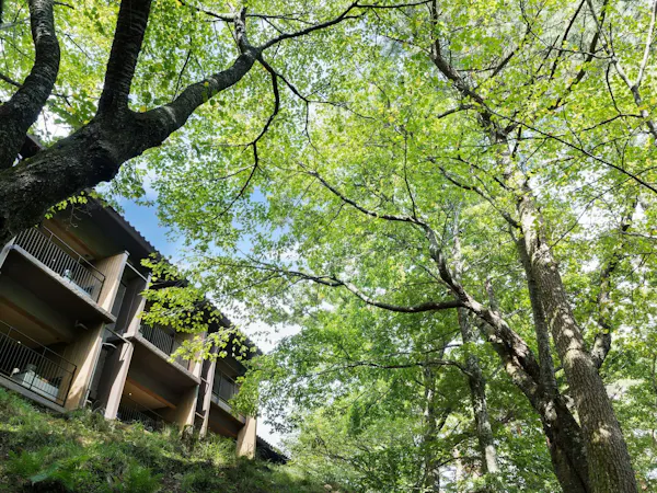 参号館 外観