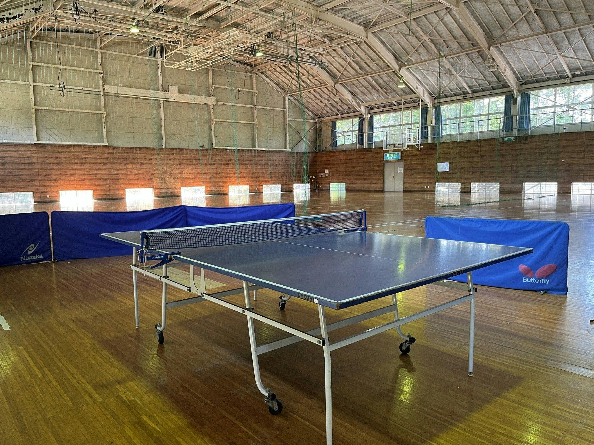 卓球（体育館・スポーツセンター内）