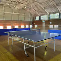 卓球(体育館・スポーツセンター内)