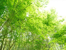 万葉の里 白雲荘　