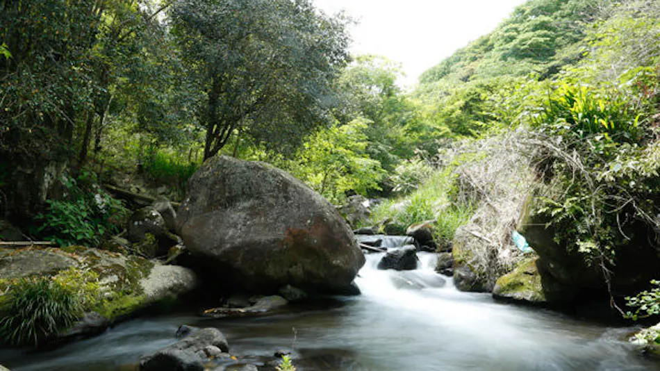 Manyo no Sato Hakuunsou