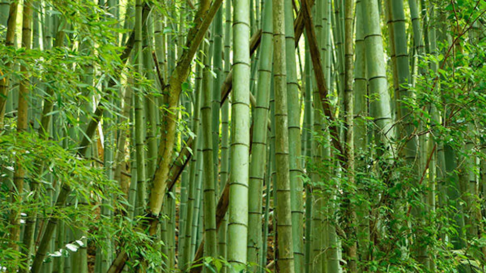 Manyo no Sato Hakuunsou