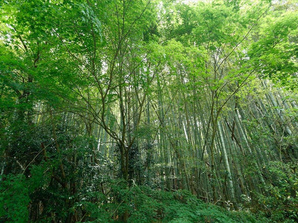 万葉の里 白雲荘