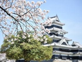 本棟造りの宿　浅間温泉　菊之湯