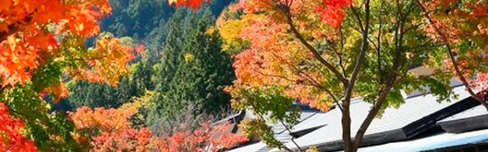 川場温泉 清流の里 錦綉山荘