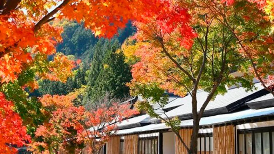 Kawaba Onsen Seiryu no Sato Kinshu Sanso