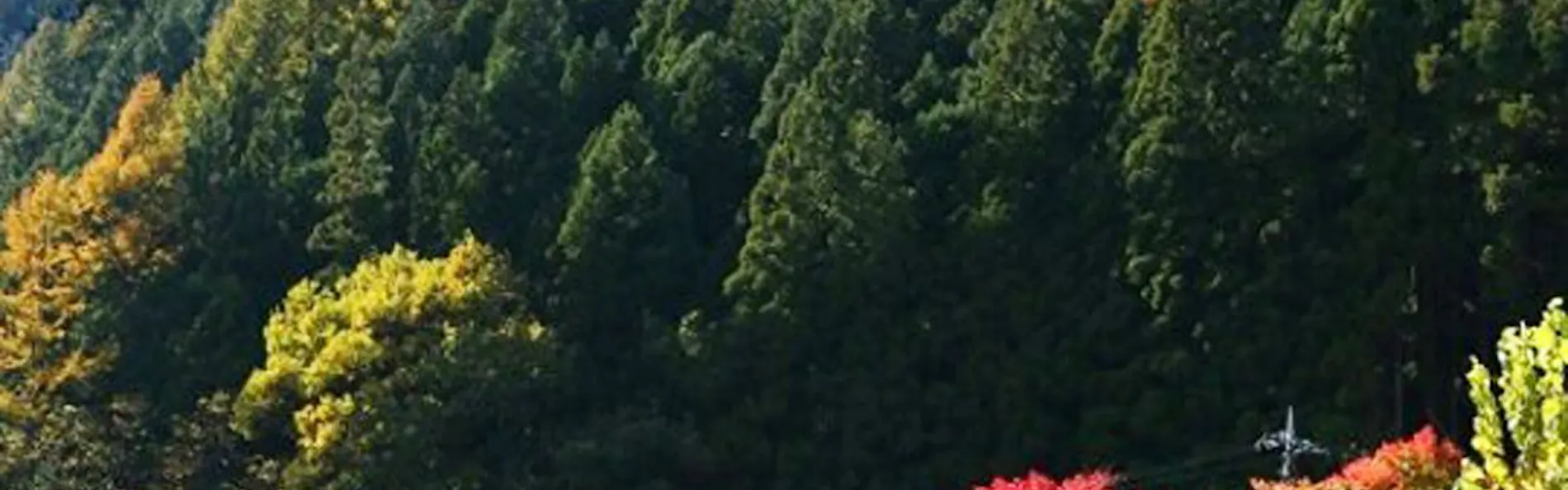 川場温泉 清流の里 錦綉山荘