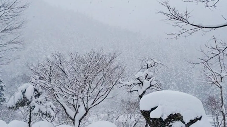 Kawaba Onsen Seiryu no Sato Kinshu Sanso