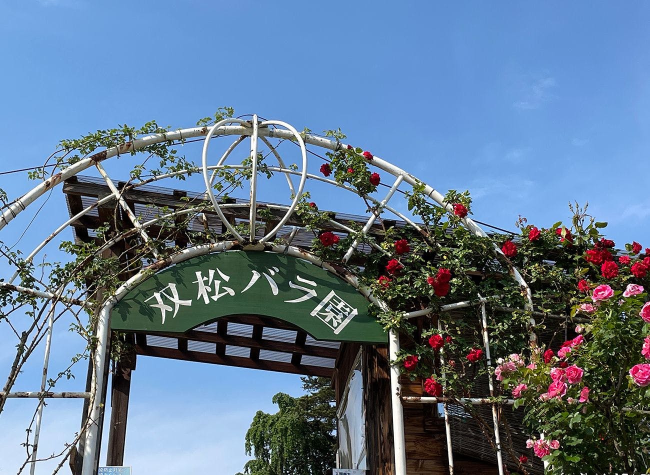 สวนกุหลาบซองมัตสึ