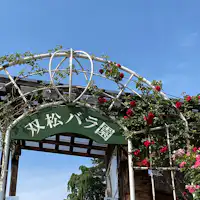 สวนกุหลาบซองมัตสึ