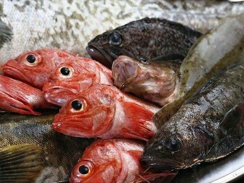 【三陸の魚介づくし】旬の海の幸を堪能（肉料理なし）全室露天風呂付の絶景美食宿／魚介づくし料理・個室食