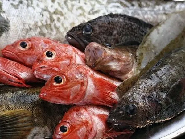 【三陸の魚介づくし】旬の海の幸を堪能(肉料理なし)全室露天風呂付の絶景美食宿/魚介づくし料理・個室食