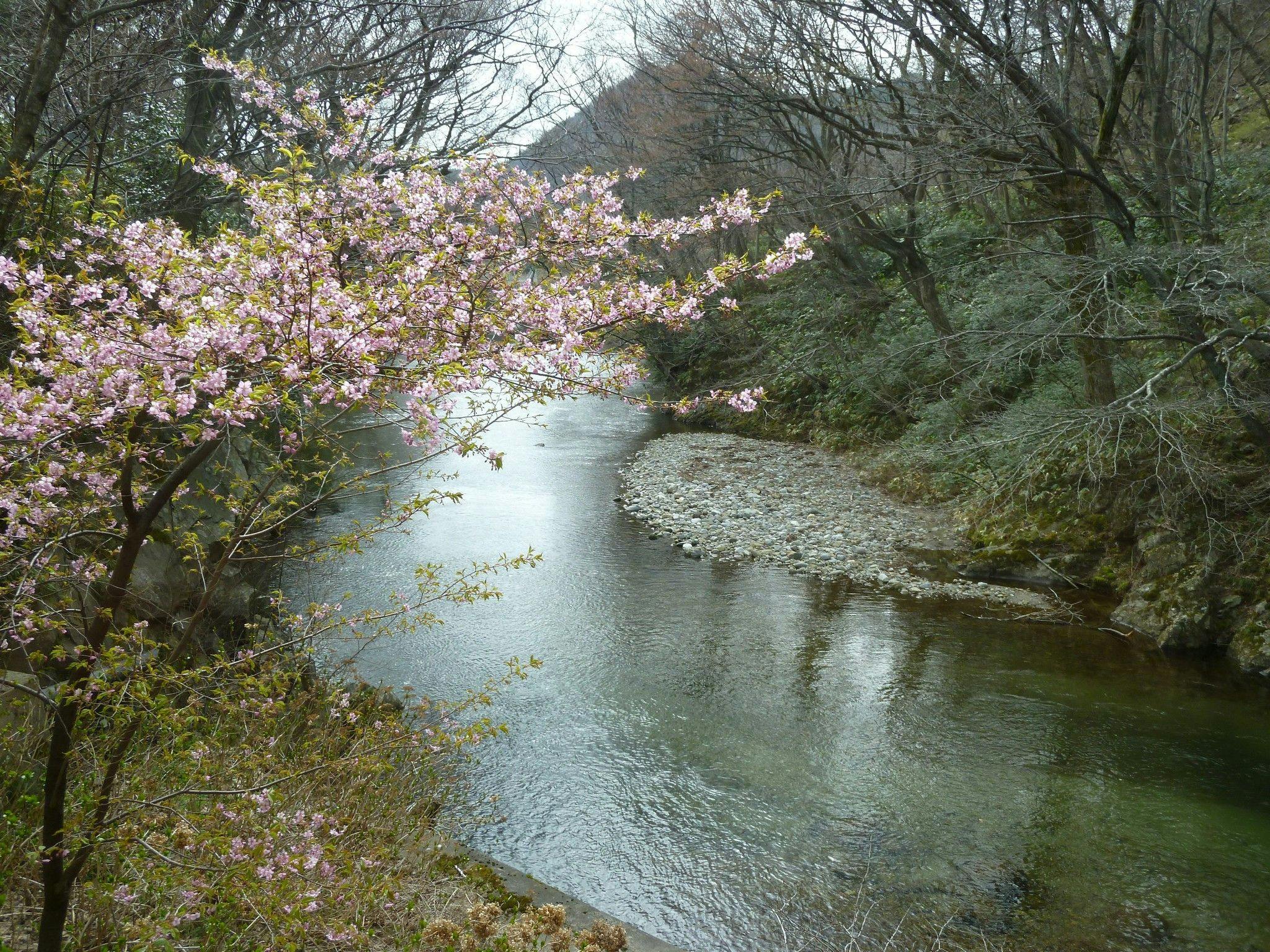 磐梯熱海温泉　熱海荘