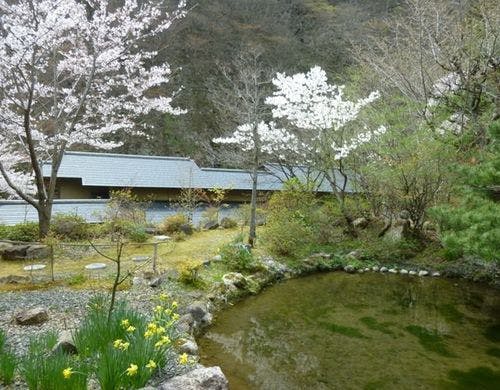 中庭　ひょうたん池　春