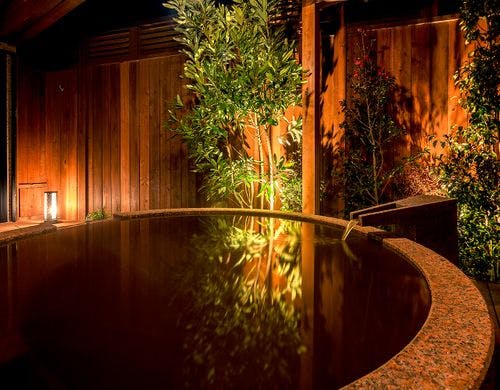 藪椿（やぶつばき）