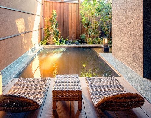 時計草（とけいそう）