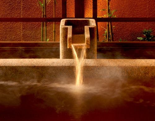 藪柑子（やぶこうじ）