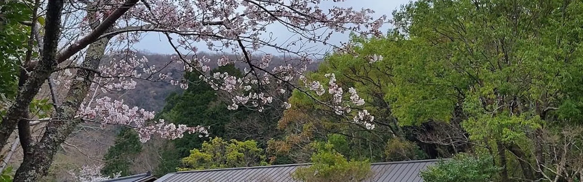 千年のしじま 月夜見の座