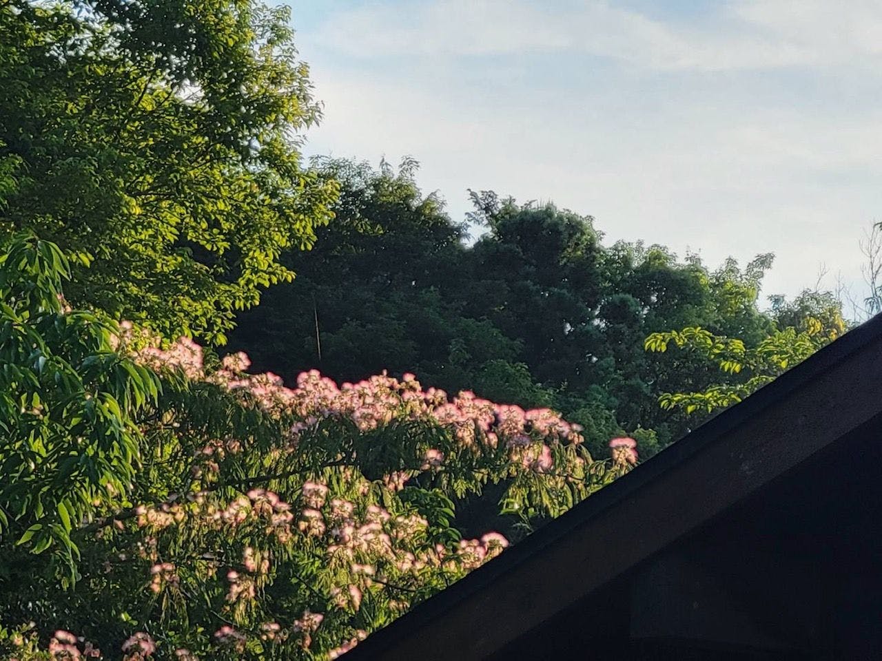 千年のしじま　月夜見の座