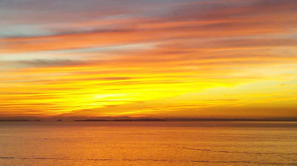 Hime Yado Hanakazashi