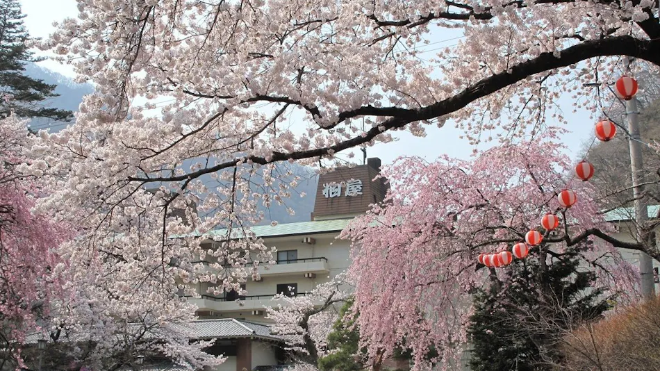 Kawaji Onsen Yukemuri no Sato Kashiwaya