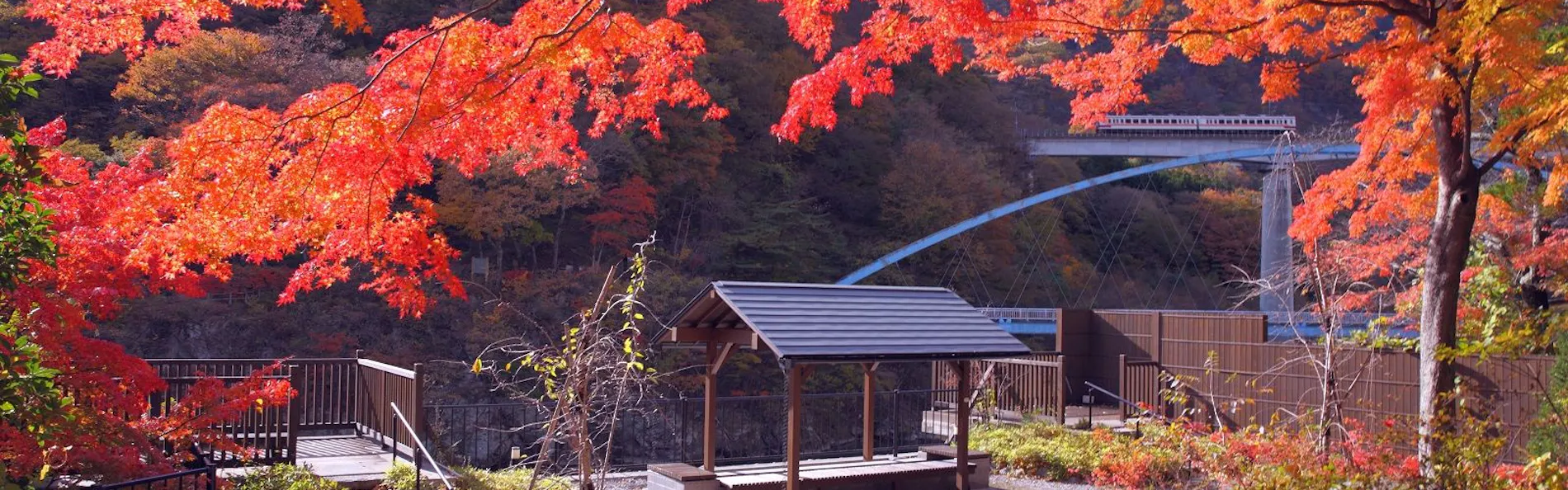 川治温泉 湯けむりの里 柏屋