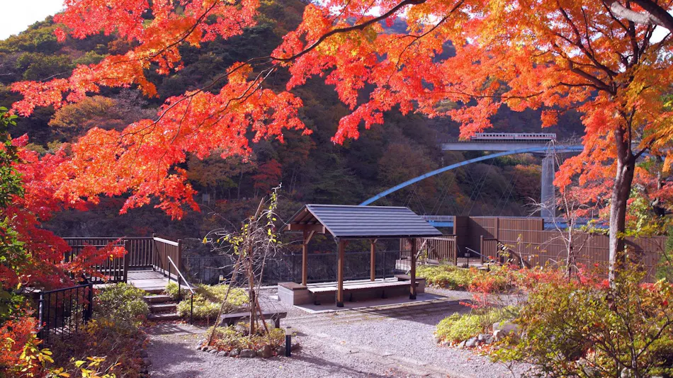 Kawaji Onsen Yukemuri no Sato Kashiwaya