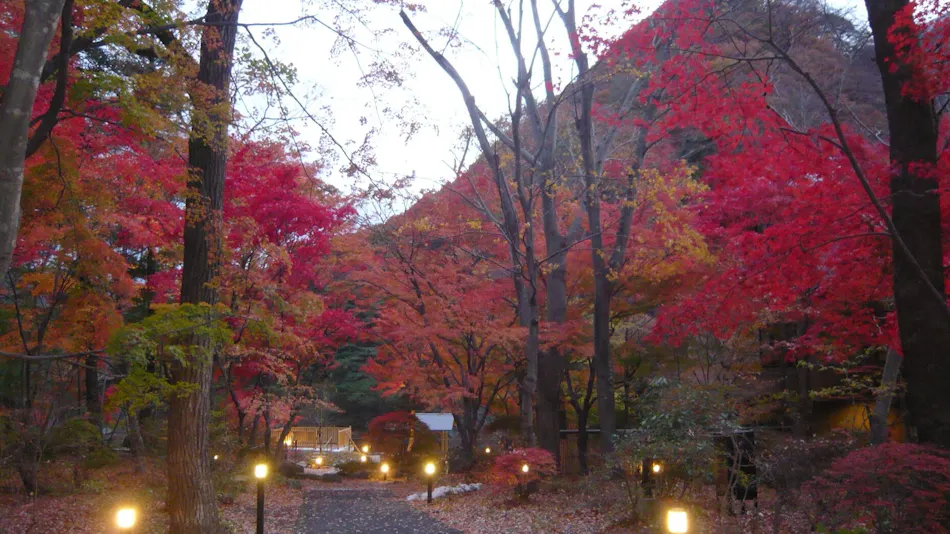 Kawaji Onsen Yukemuri no Sato Kashiwaya