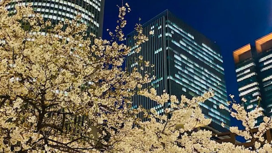 Nagoya JR Gate Tower Hotel