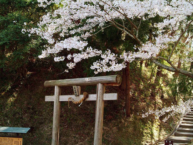 つま恋リゾート 彩の郷