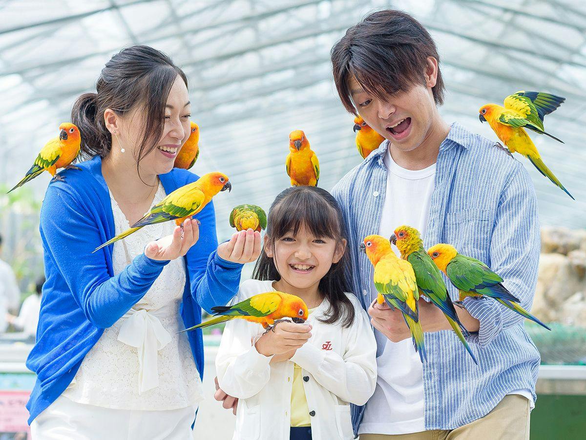 〇車で15分！掛川花鳥園入園券付きプラン