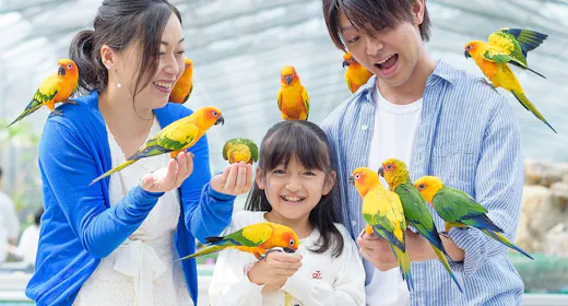 〇車で15分!掛川花鳥園入園券付きプラン