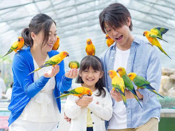 〇車で15分!掛川花鳥園入園券付きプラン