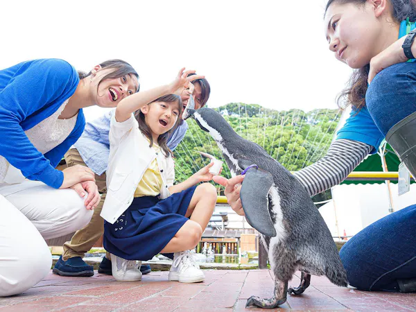〇車で15分!掛川花鳥園入園券付きプラン