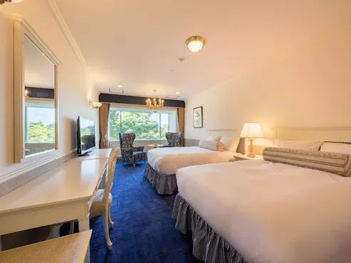 Superior Twin / Bilik Twin yang luas