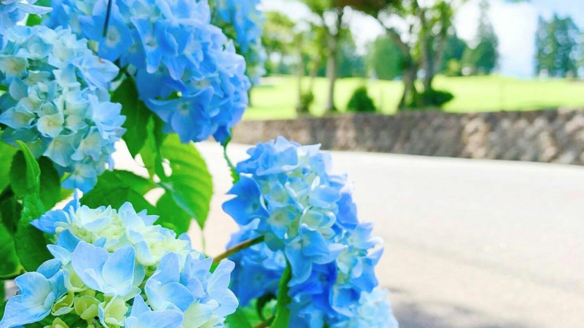 箱根湯の花プリンスホテル