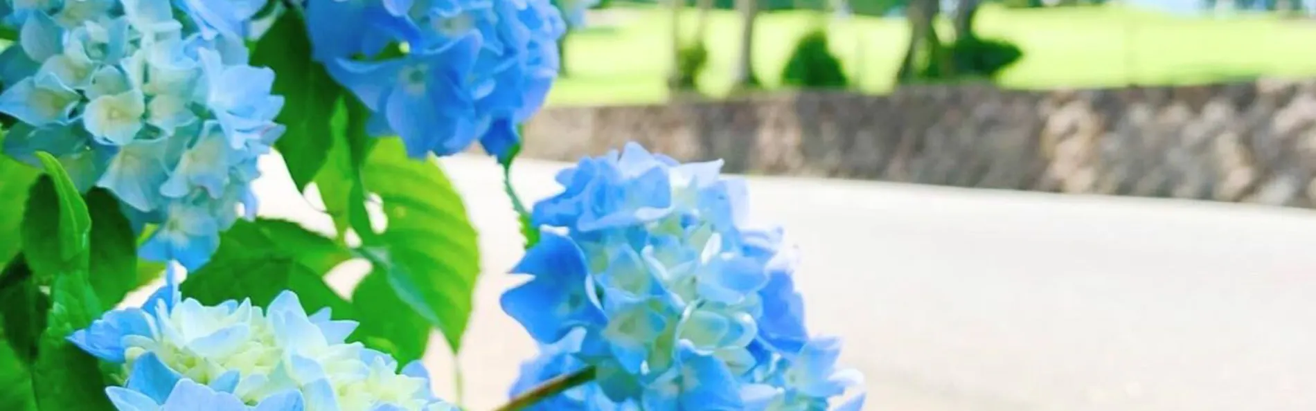 箱根湯の花プリンスホテル