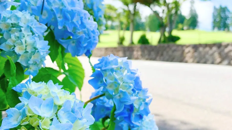 Hakone Yunohana Prince Hotel