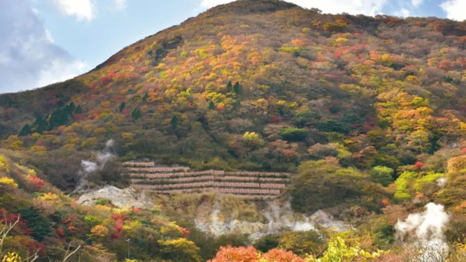 Hakone Yunohana Prince Hotel