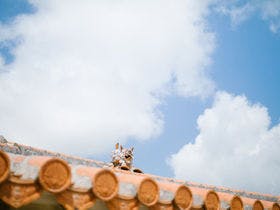 THE　HIRAMATSU　HOTELS　&　RESORTS　宜野座