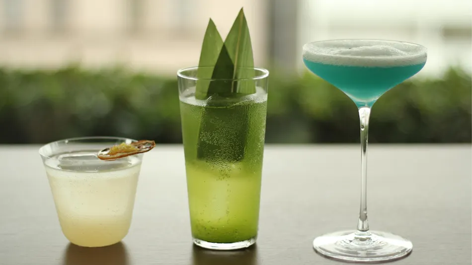 THE KITANO HOTEL TOKYO