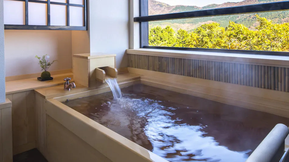 Setsugetsuka Annex Suiun (Kyoritsu Resort)