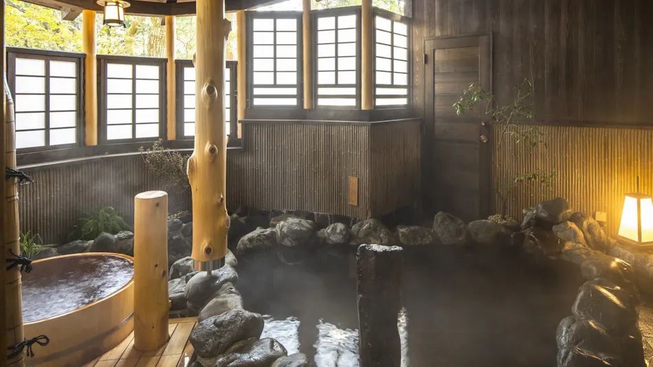 Setsugetsuka Annex Suiun (Kyoritsu Resort)