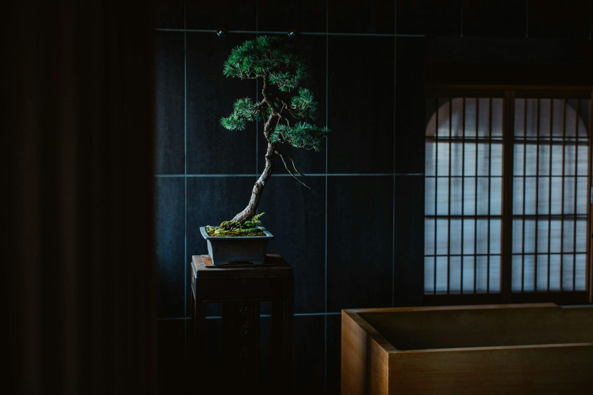 そわか SOWAKA