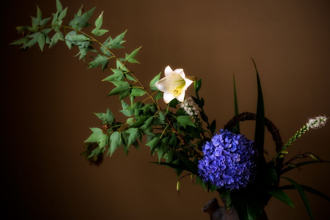 平山温泉 豆富屋やまと