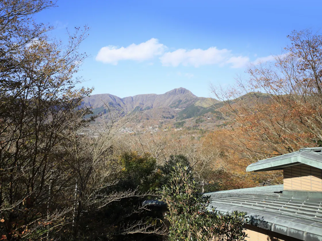 客室景色