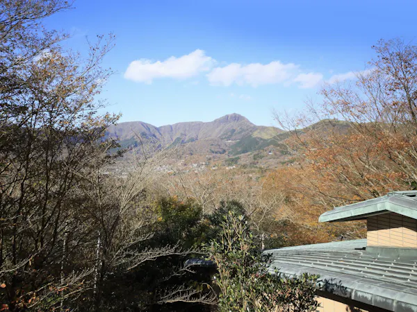 客室景色