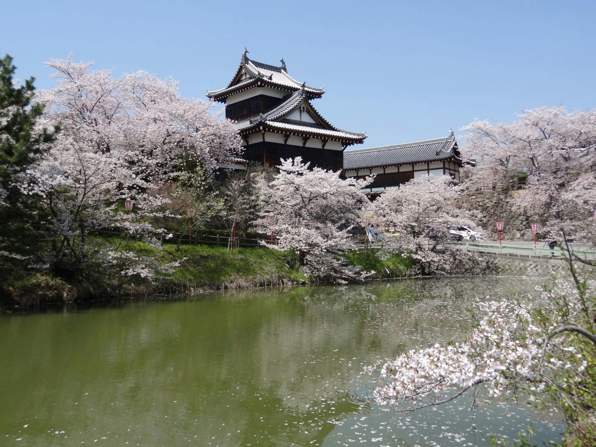 「豊臣兄弟！大和郡山大河ドラマ館」入館券チケット付き＜室料のみ＞